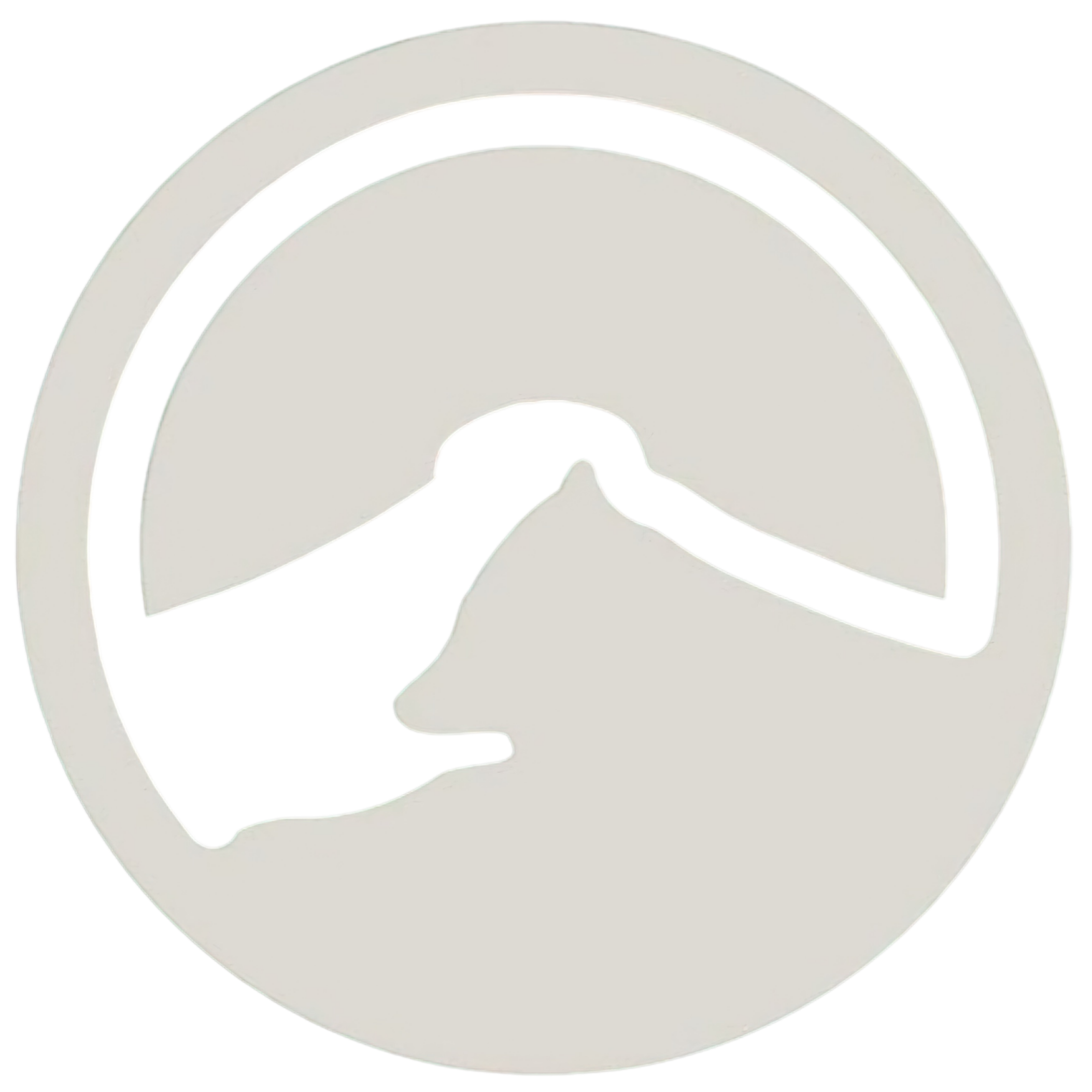 Cargando publicaciones