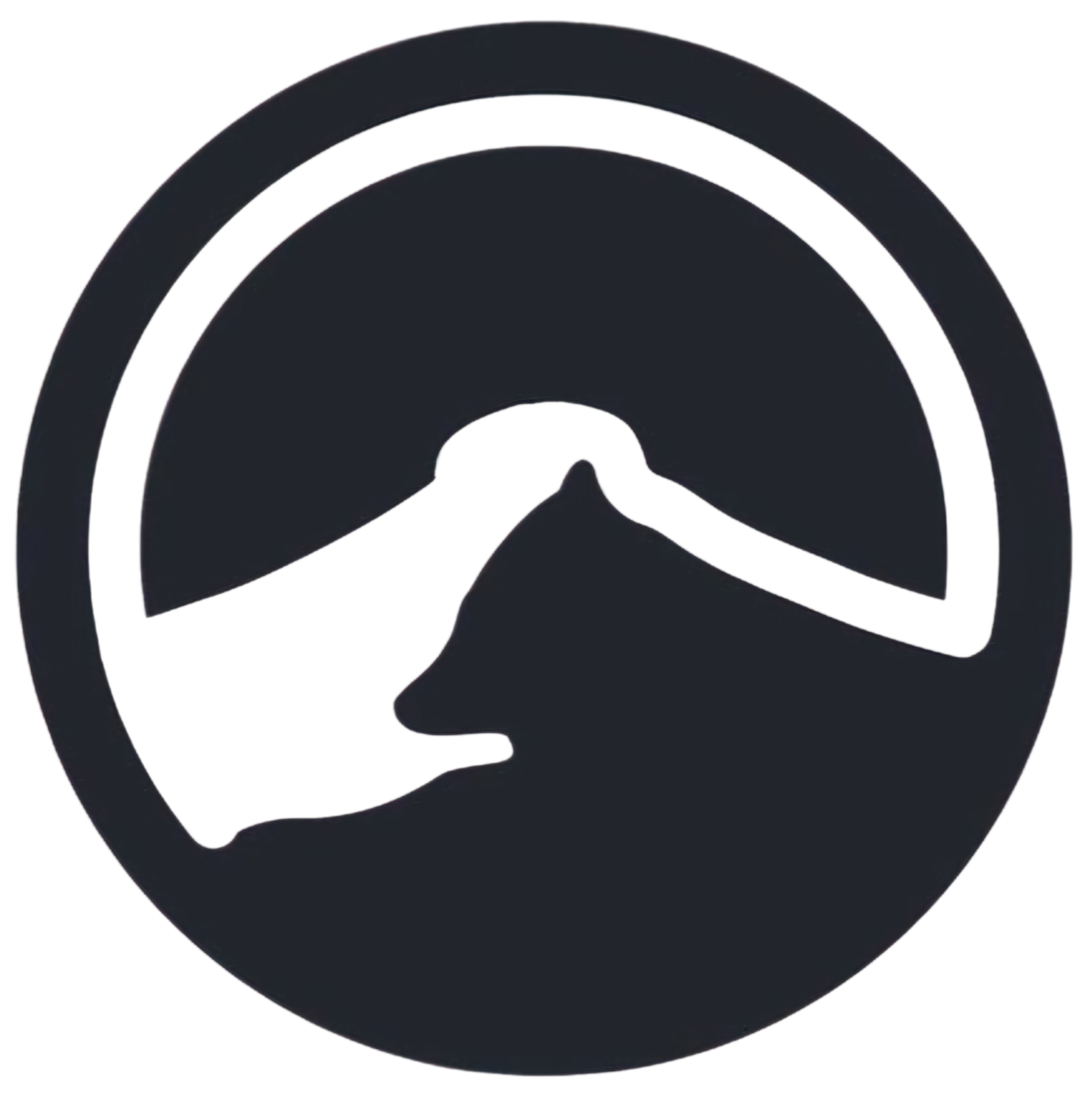 Cargando publicaciones