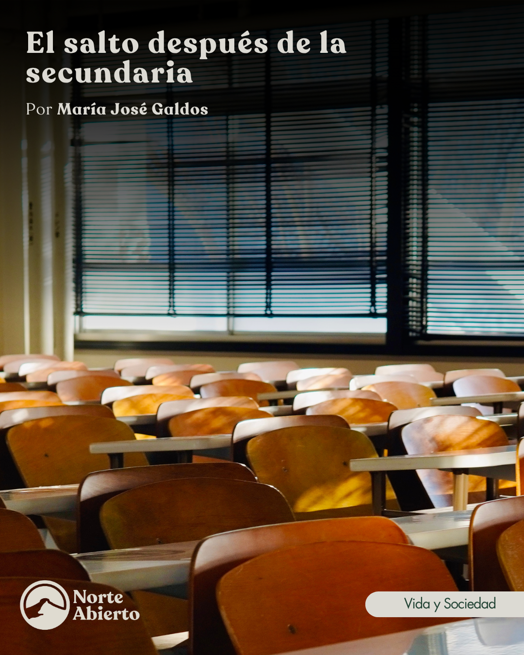 Vista previa del artículo
