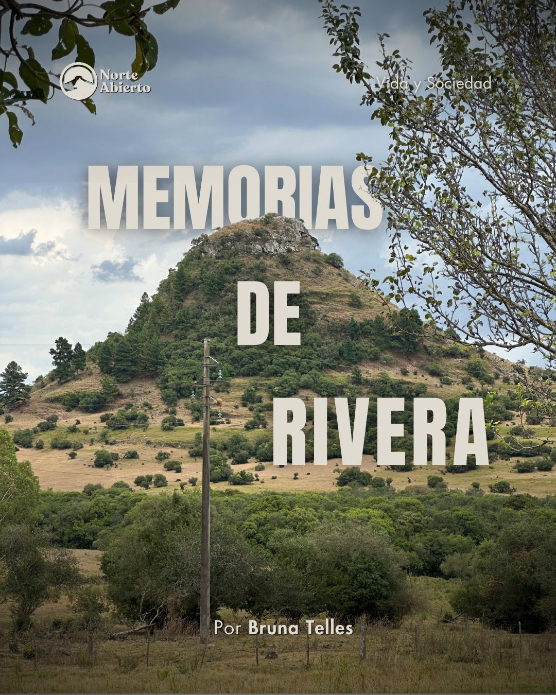 Vista previa del artículo