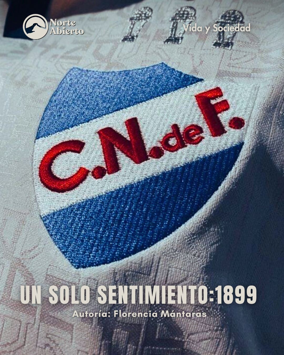 Vista previa del artículo