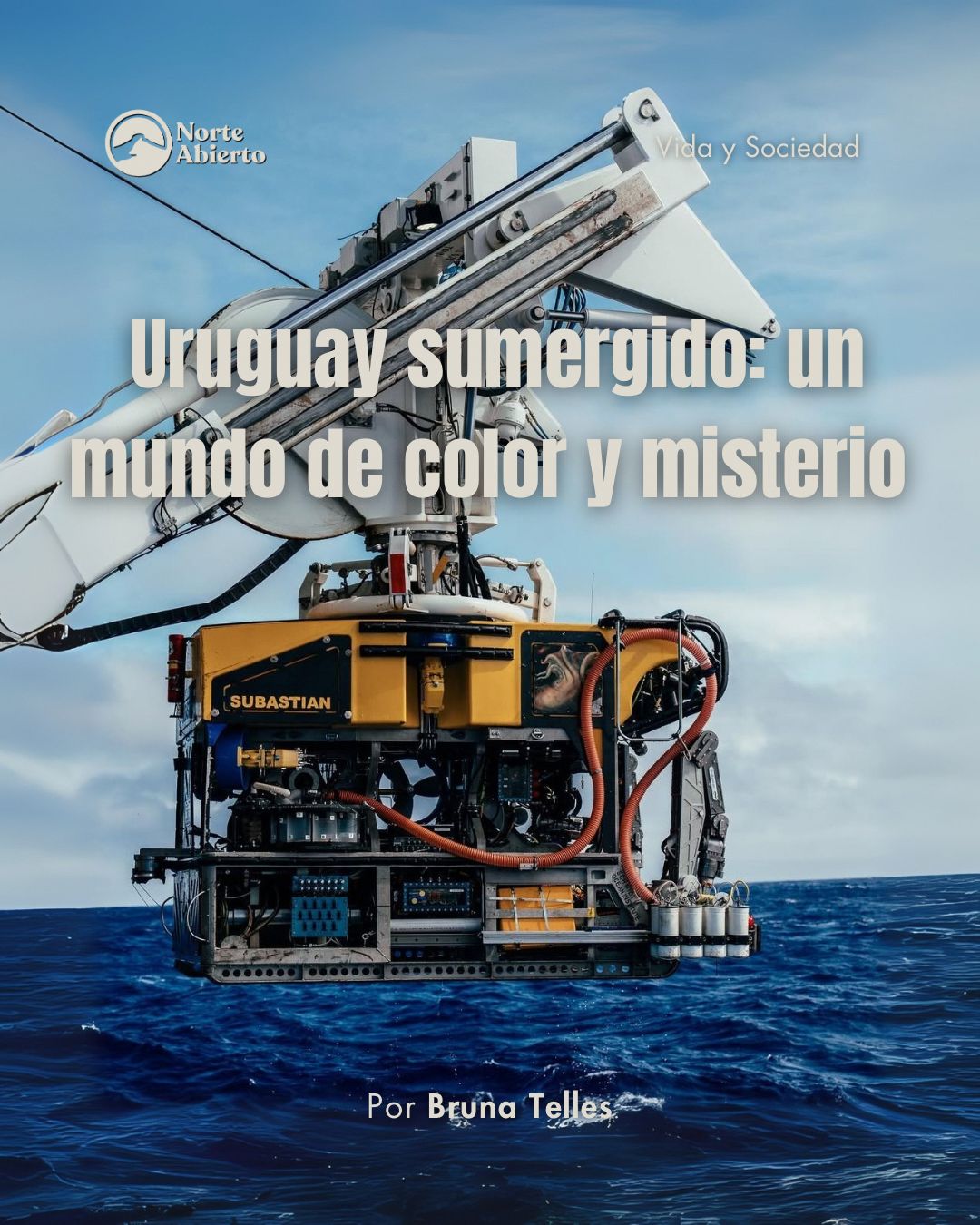 Imagen del artículo